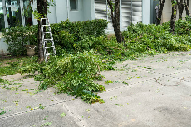 Best Seasonal Cleanup (Spring/Fall)  in Mccom, OH